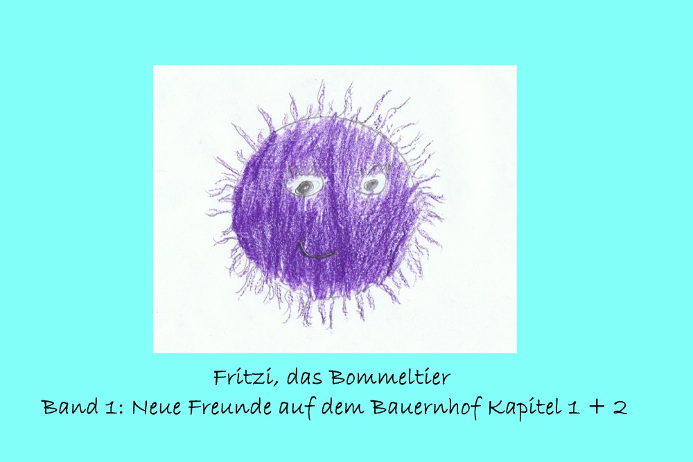 Freitextkatze - Fritzi, das Bommeltier